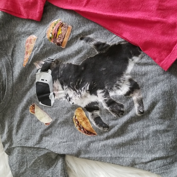 Cat Graphic Tees Bundle - Picture 3 of 3